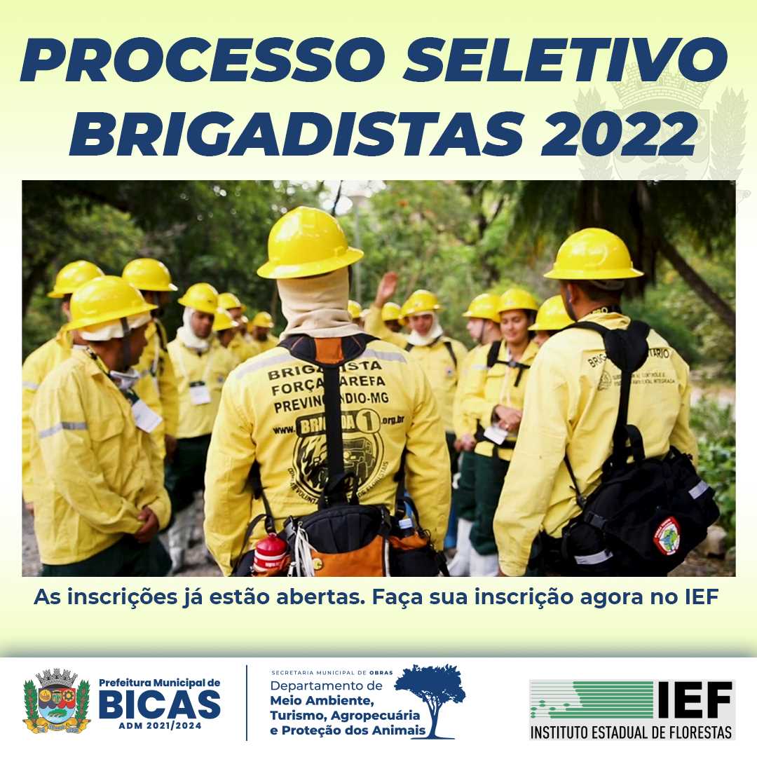 Prefeitura Municipal De Bicas Processo Seletivo Brigadistas